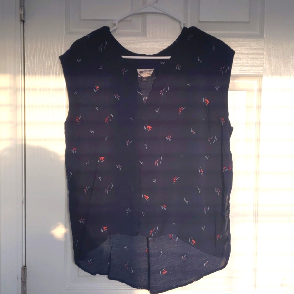 Blue Blouse